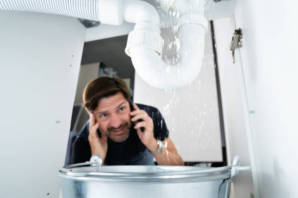 Best Local Plumber Services  in Amelia, LA
