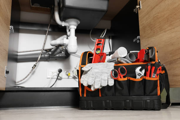 Best Local Plumber Services  in Amelia, LA