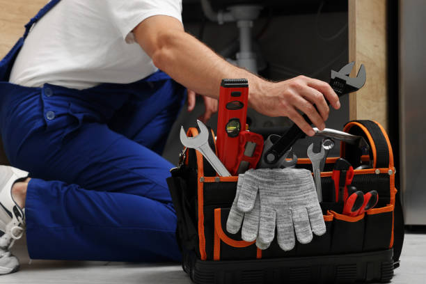 Best 24-Hour Plumber Near Me  in Amelia, LA